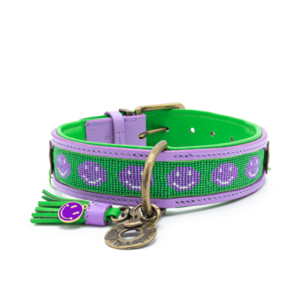 Dog with a Mission Smiley Halsband
